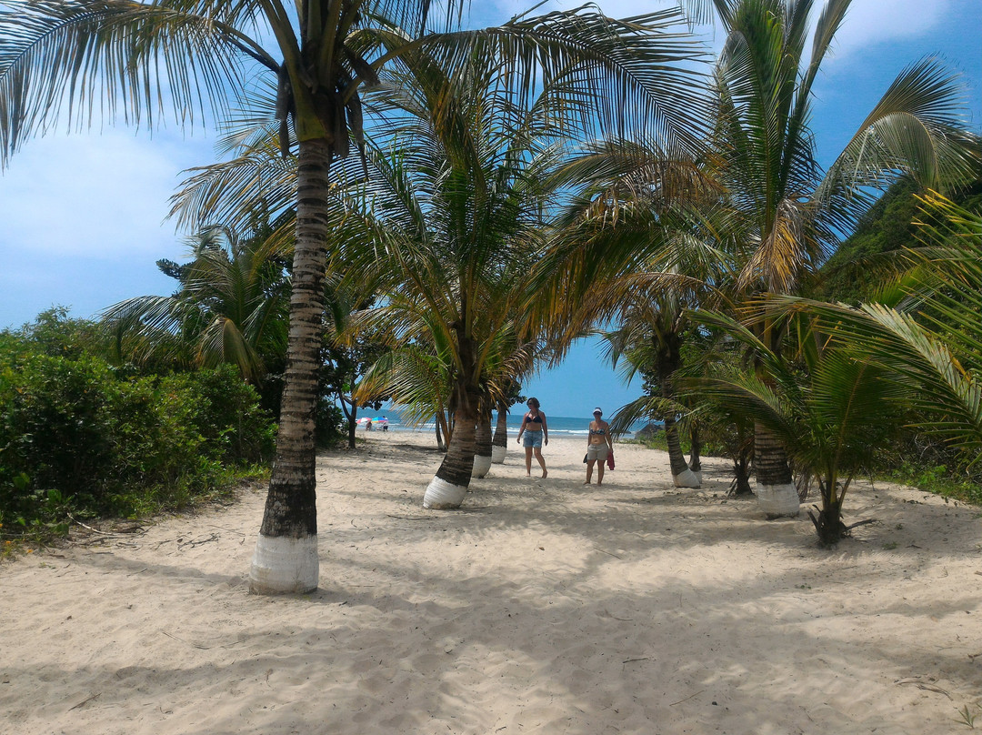 Roteiros Eco Trilhas-Peruibe必去景点