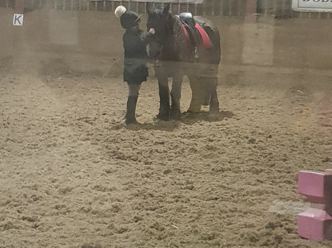 High Cross Equestrian Centre-Lutterworth必去景点