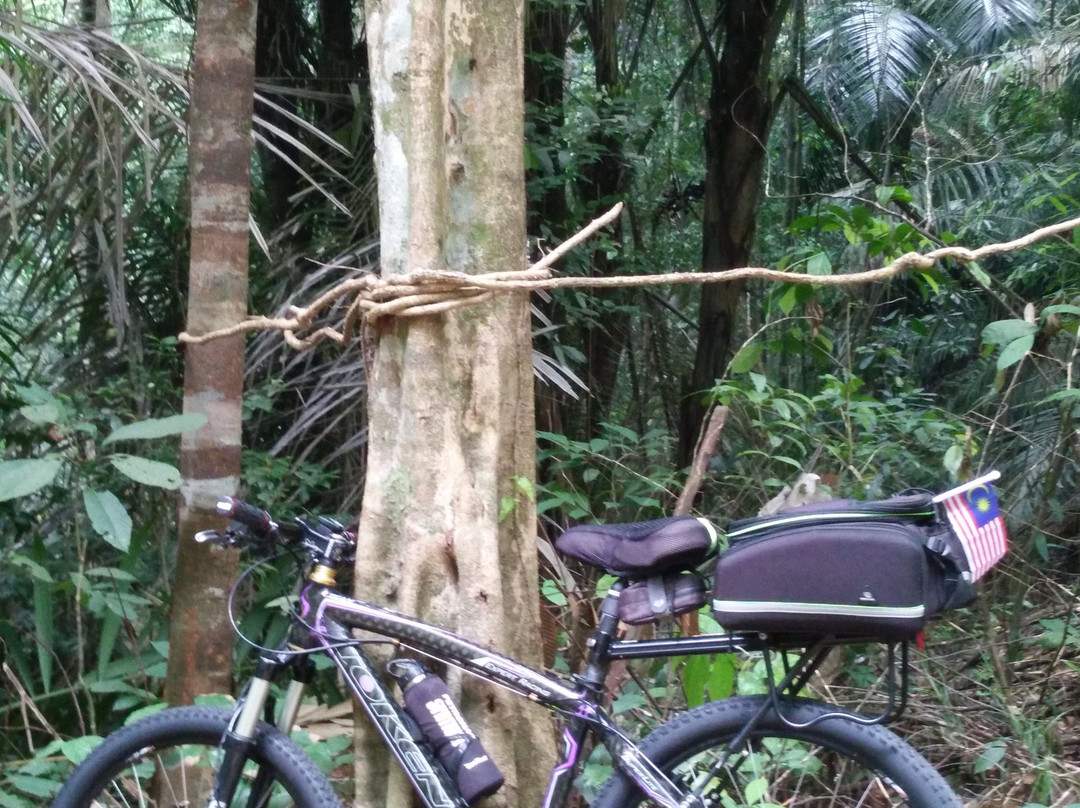 Bukit Pelindung Recreational Forest景点图片