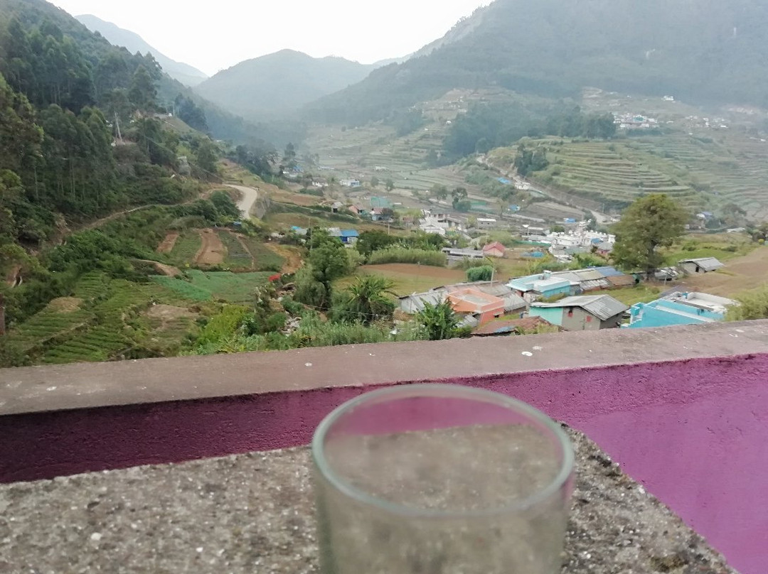 Pampadum Shola National Park-Vattavada必去景点