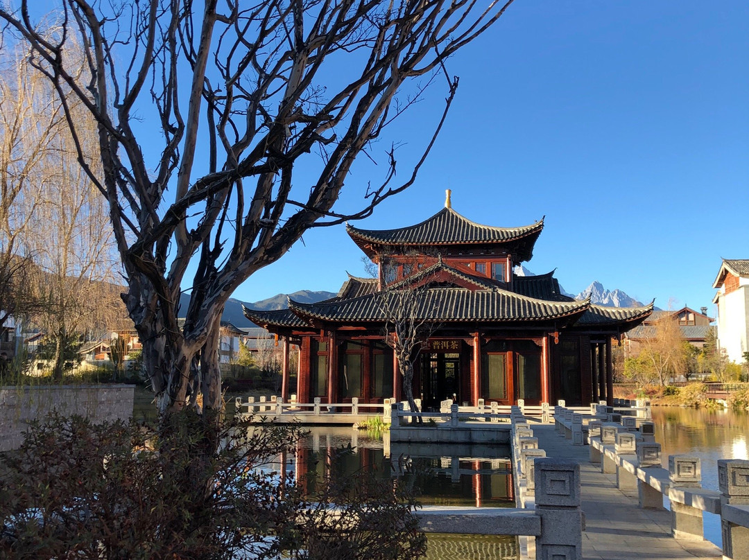 Yang11 的丽江一日游-丽江市必去景点