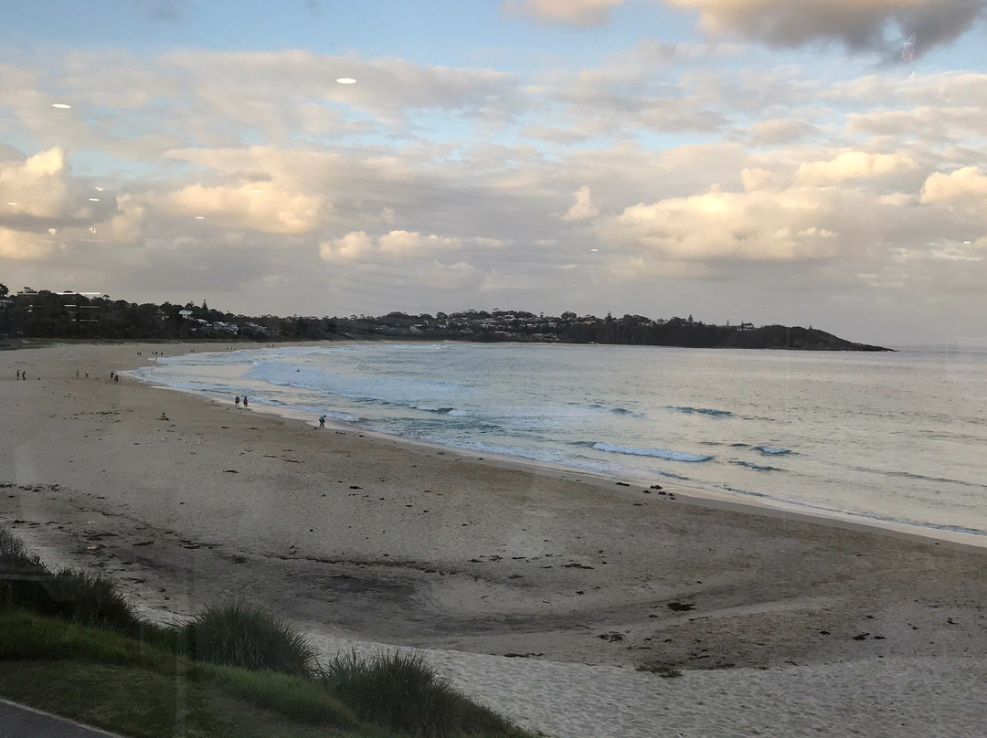 Mollymook Surfbeach Motel & Apartments主图