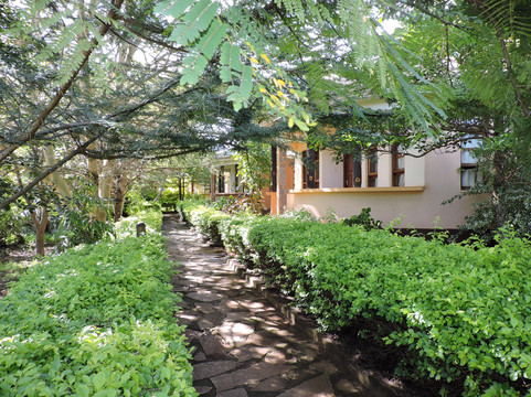 Flamingo Safari Lodge主图