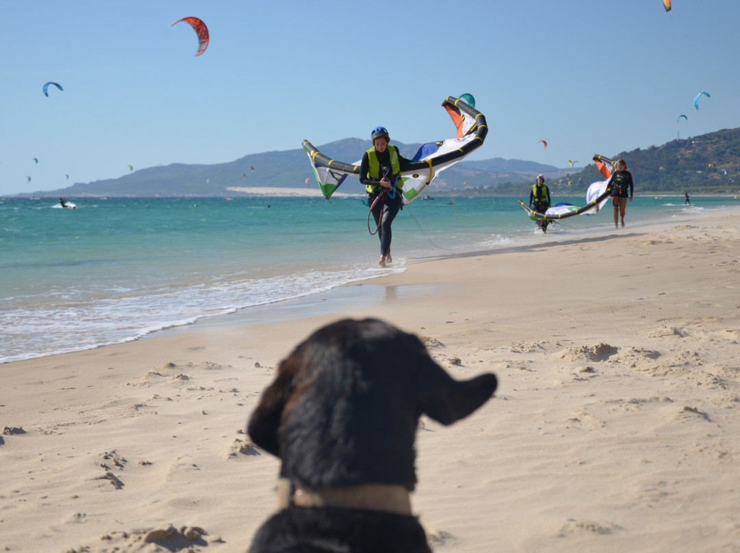 Kite Fun Tarifa景点图片