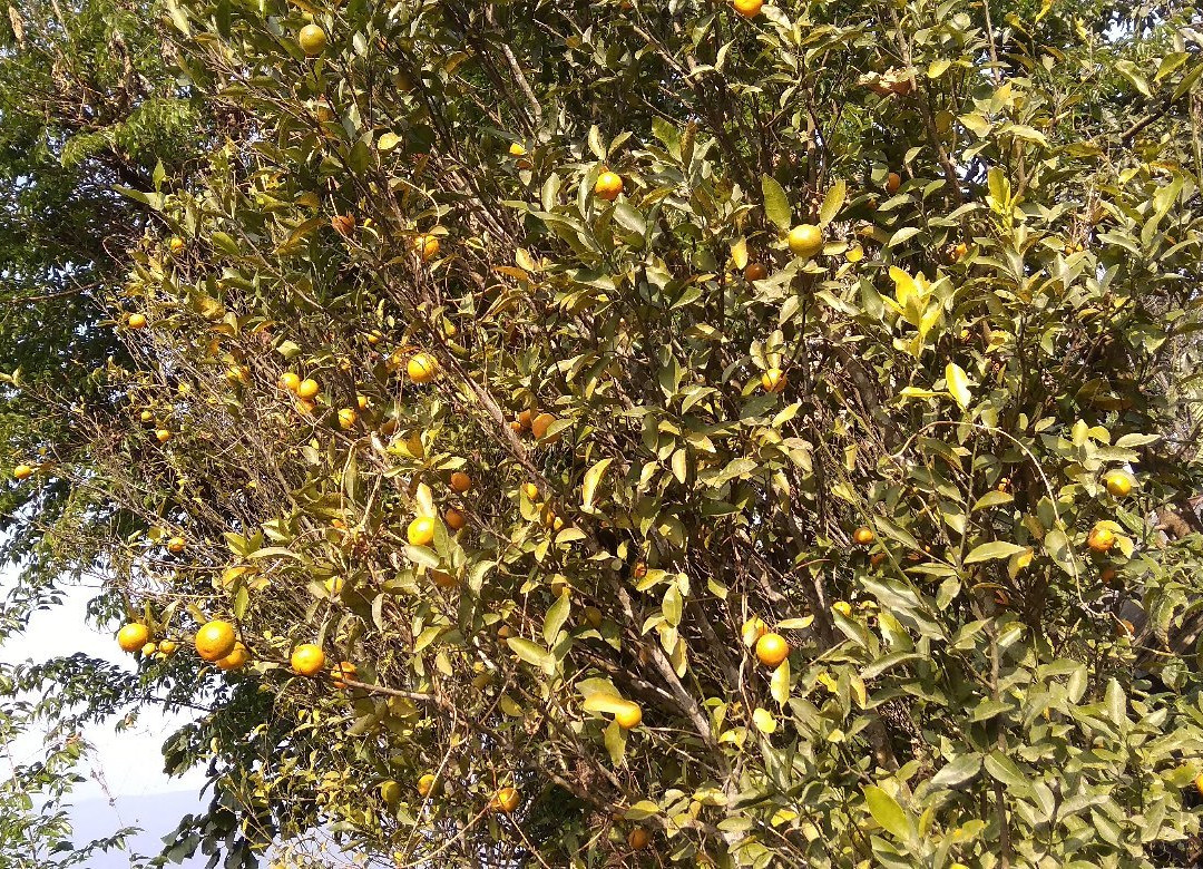 Sitong景点图片