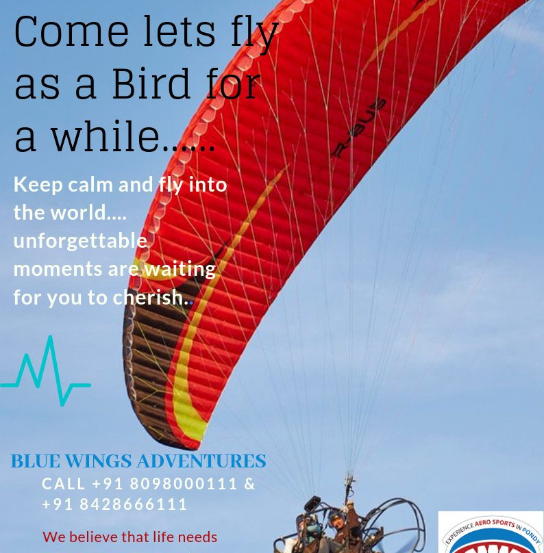 Blue Wings Adventures景点图片