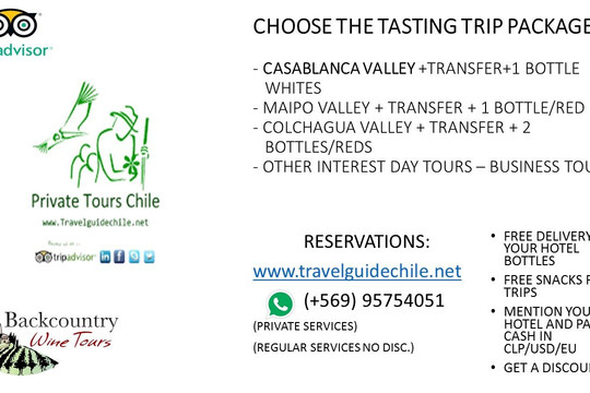 Travel Guide Chile-圣地亚哥必去景点