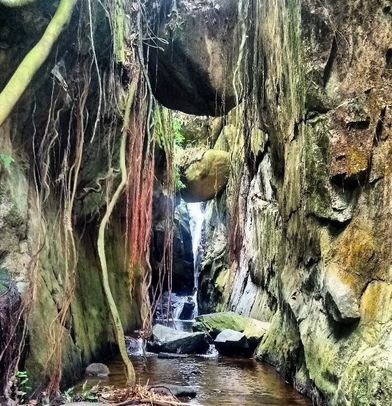 Cachoeira Indiana Jones景点图片