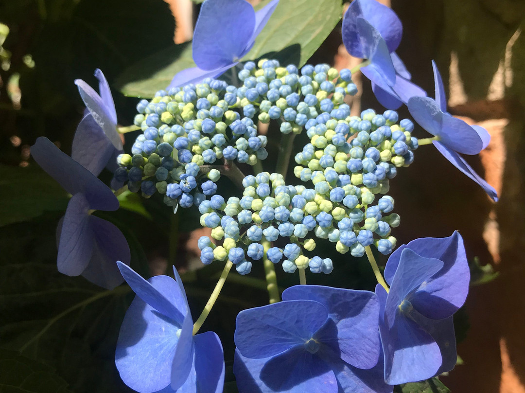 Tarry-Stone Cottages主图