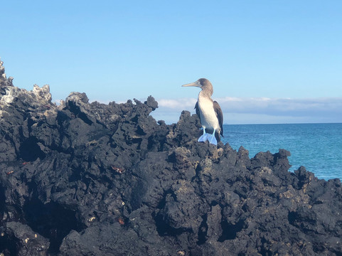 Dana Tours LLC-明多必去景点