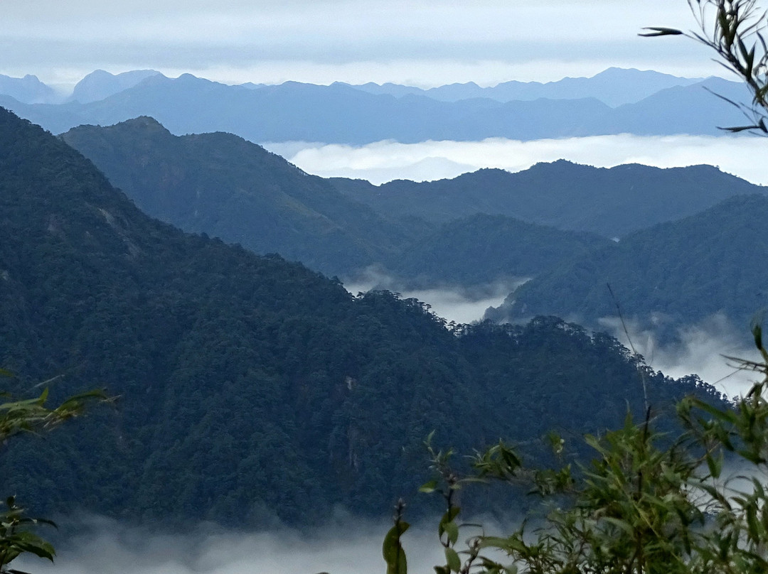 郴州莽山国家森林公园-宜章县必去景点