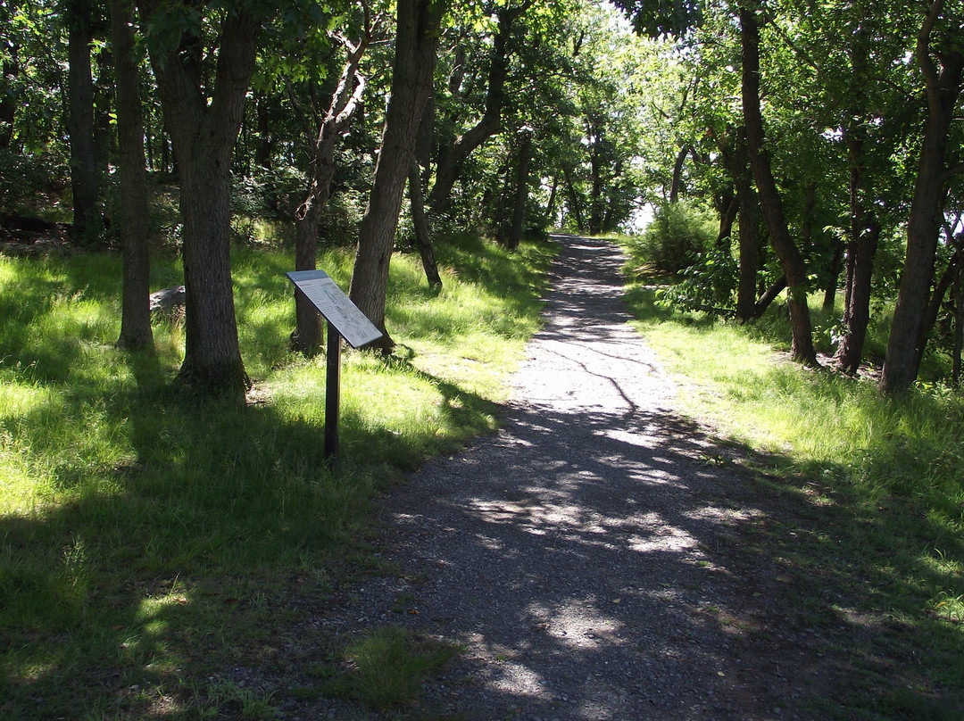 The Moswetuset Hummock-昆西必去景点