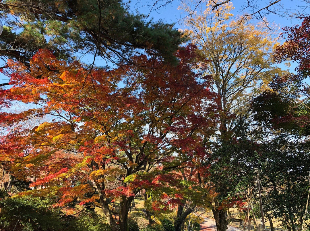 Muramatsu Park景点图片