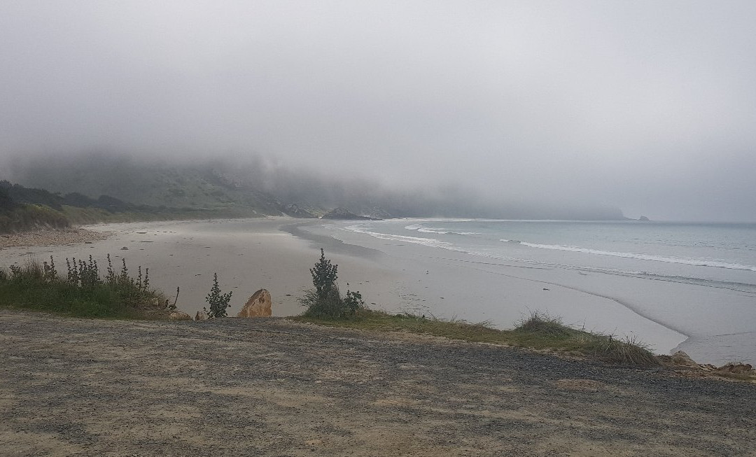 Aramoana Beach景点图片