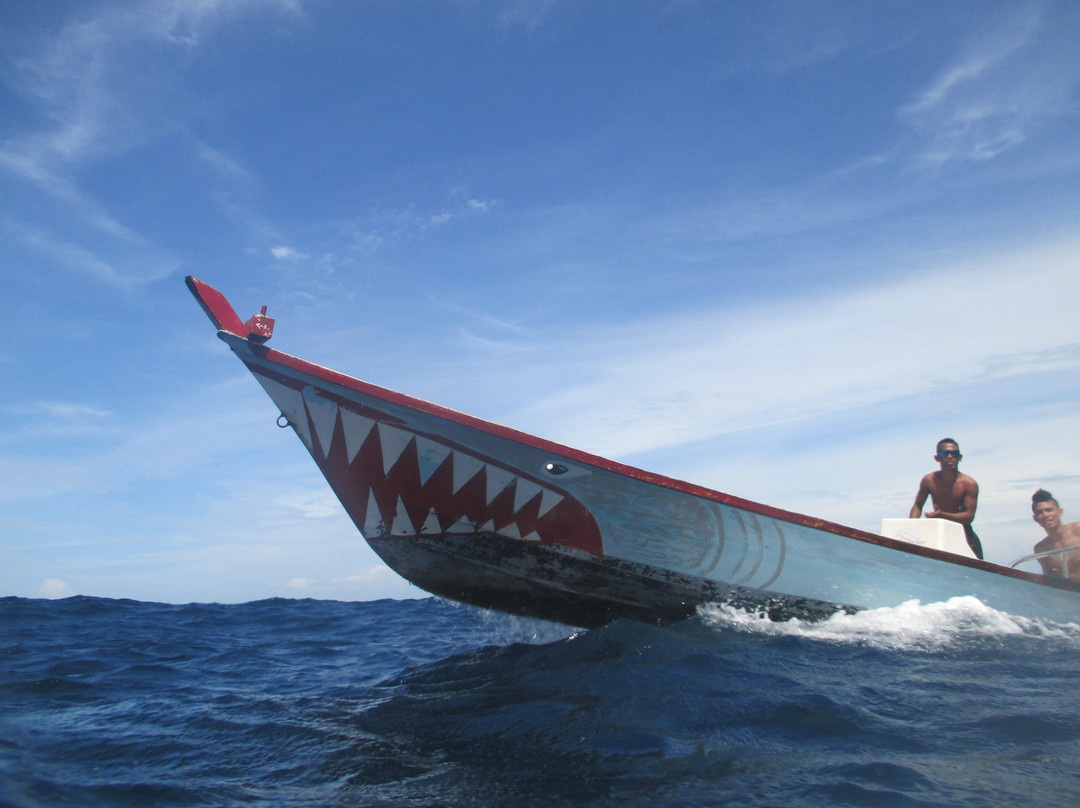 Steffen Sea Sports-韦岛必去景点