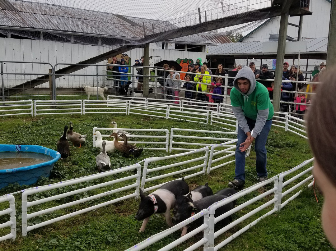 Maris Farms-Buckley必去景点