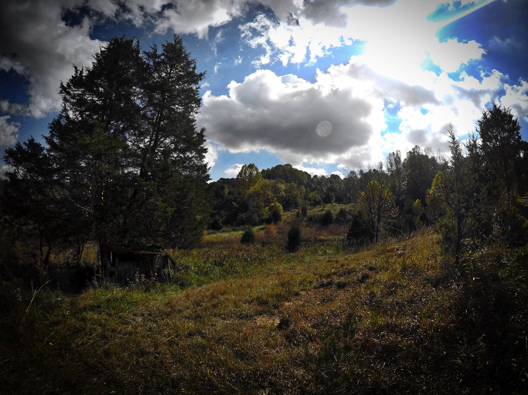 The Edge of Appalachia Preserve System-West Union必去景点