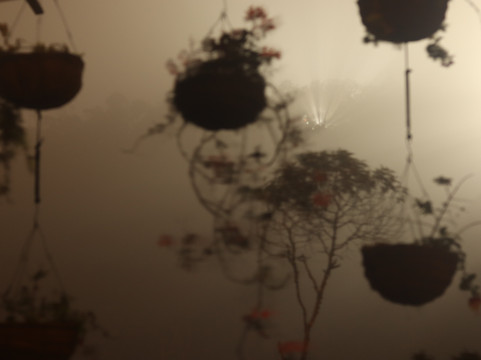 Salvaje Glamping主图