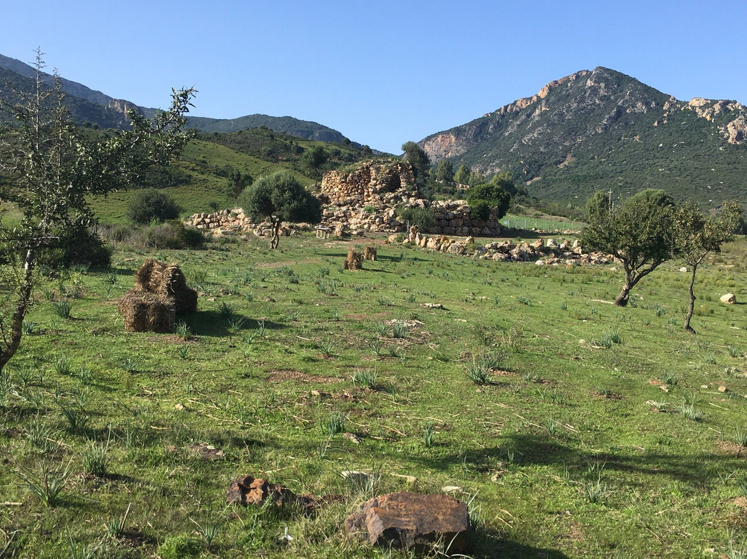 Complesso nuragico di S'Omu 'e S'Orcu-Domusnovas必去景点