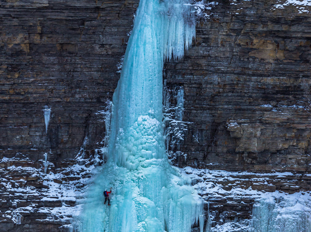 Tumbler Ridge Visitor Information Centre-Tumbler Ridge必去景点