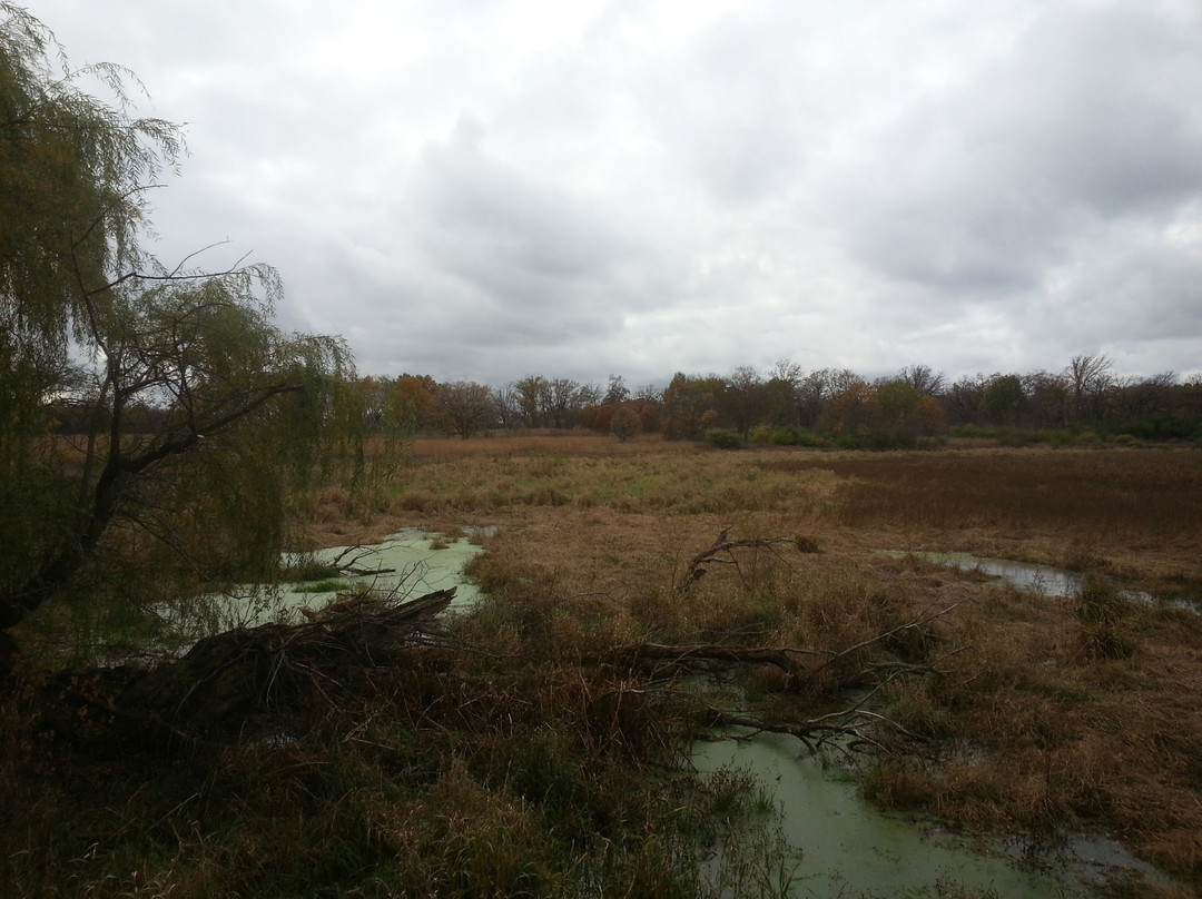 Glacial Park-Ringwood必去景点