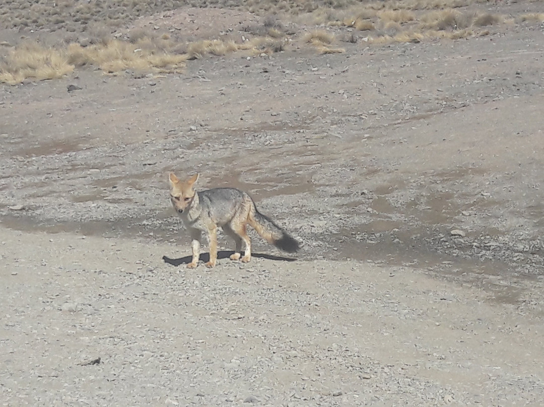 Cruz del Paramillos-乌斯帕亚塔必去景点
