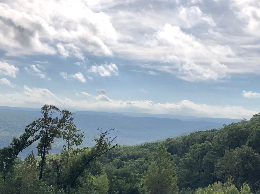 Pig Trail National Scenic Byway景点图片