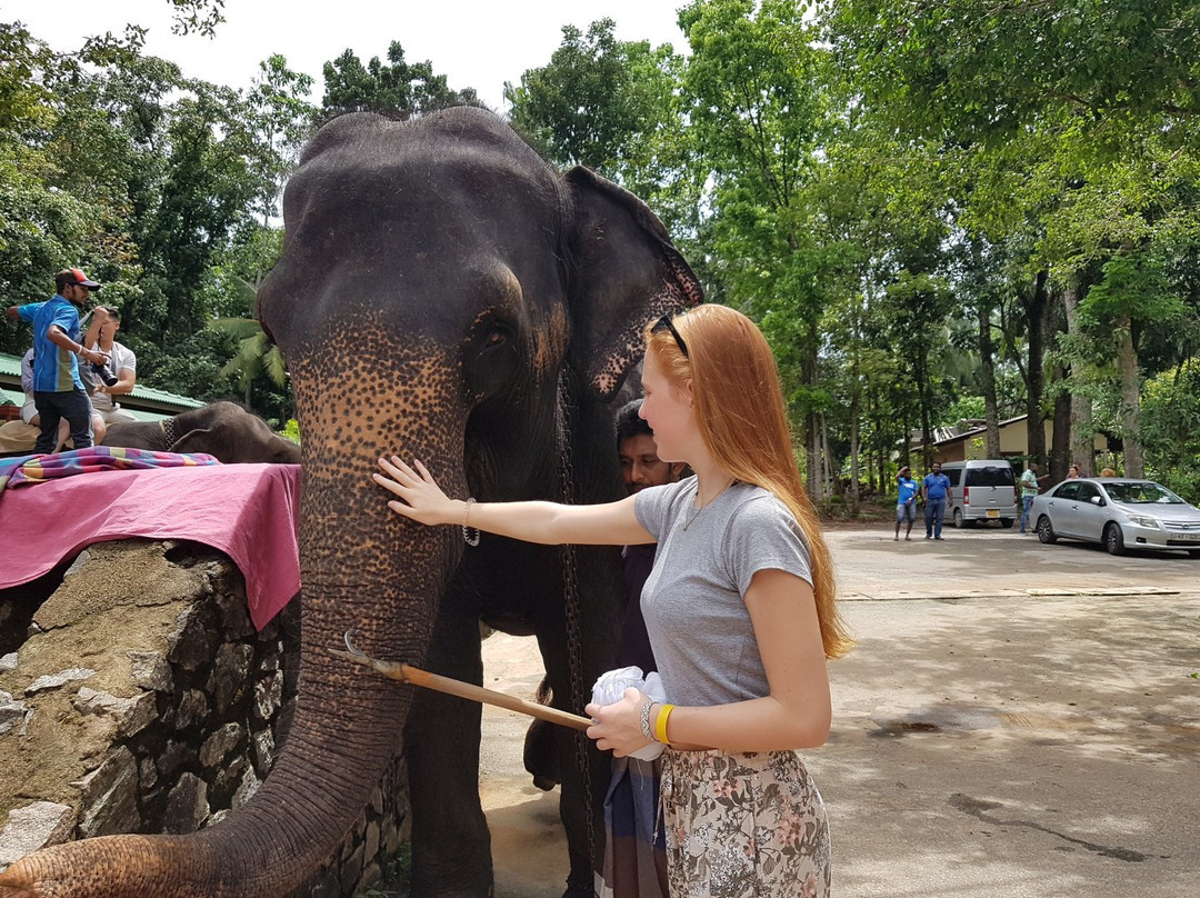 Tony Sri Lanka Tours-亚洪加拉必去景点