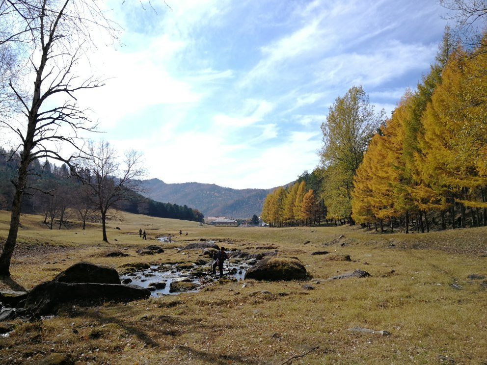 金山鹿苑-伊春市必去景点