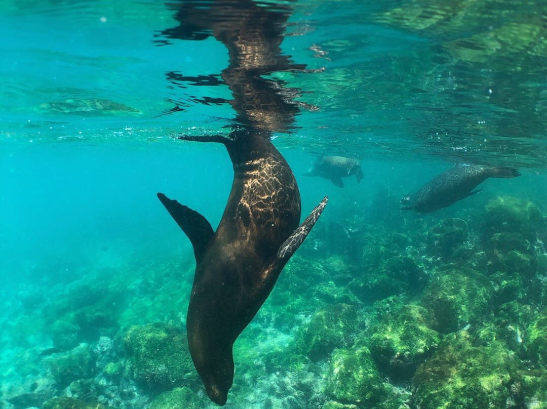 Galapagos Diving-Puerto Baquerizo Moreno必去景点