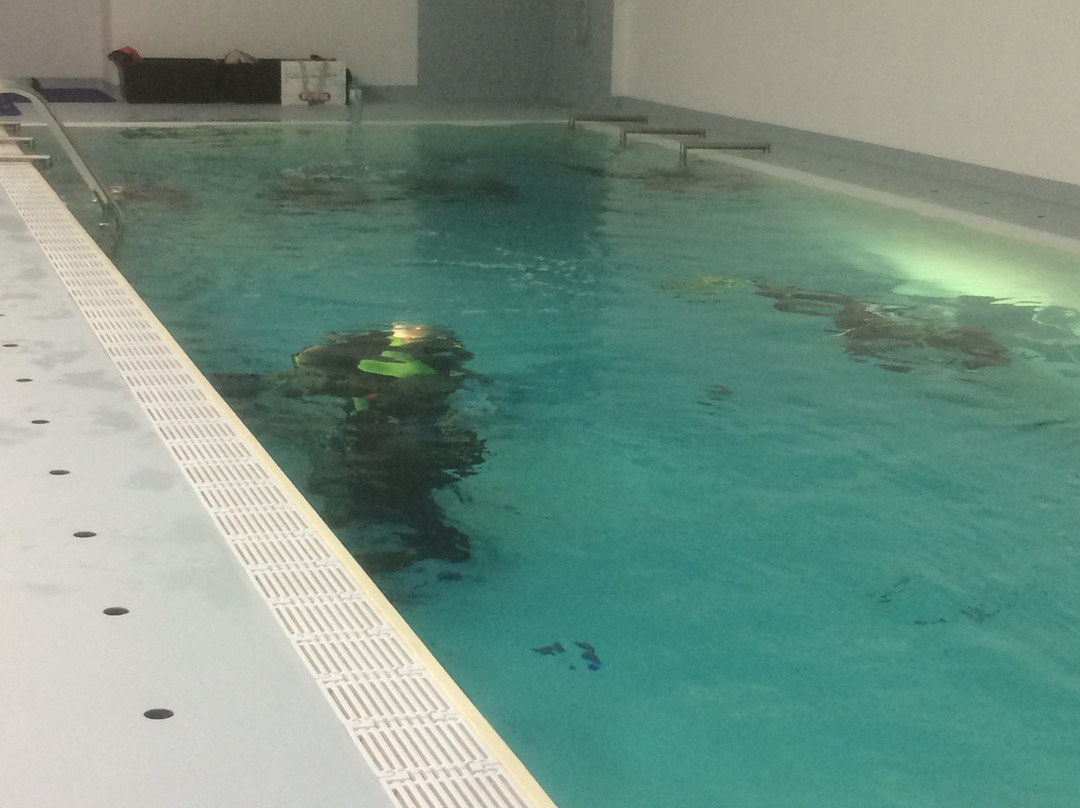 H2O Diving Academy-诺伊西德湖畔必去景点