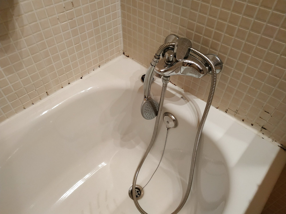 Flag Hotel Valencia - Florazar主图