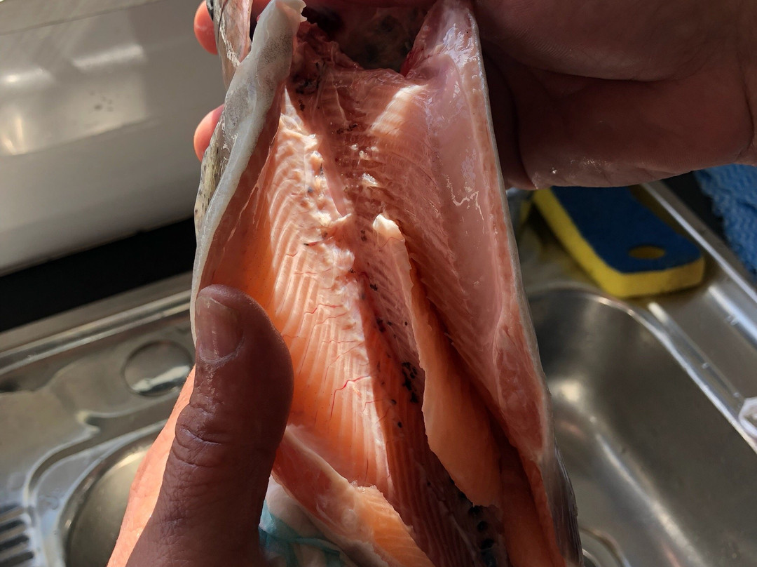 Cripps Family Fish Farm景点图片
