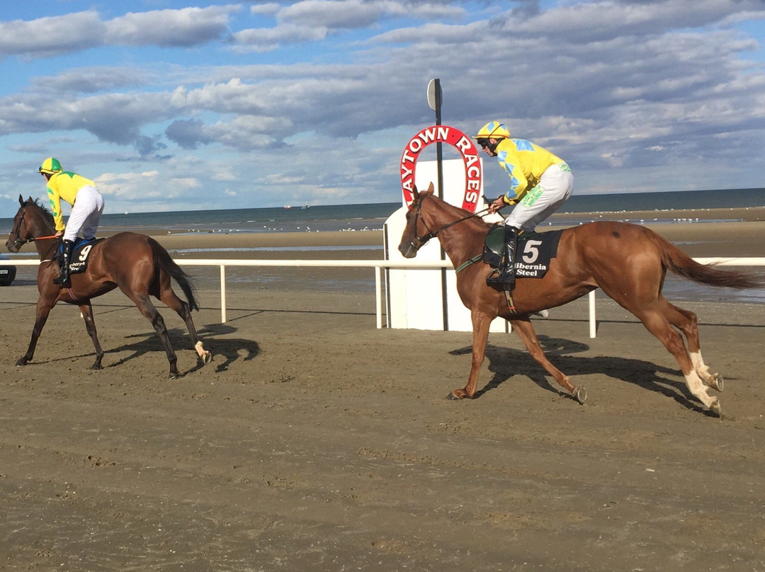 Laytown Races-Laytown必去景点