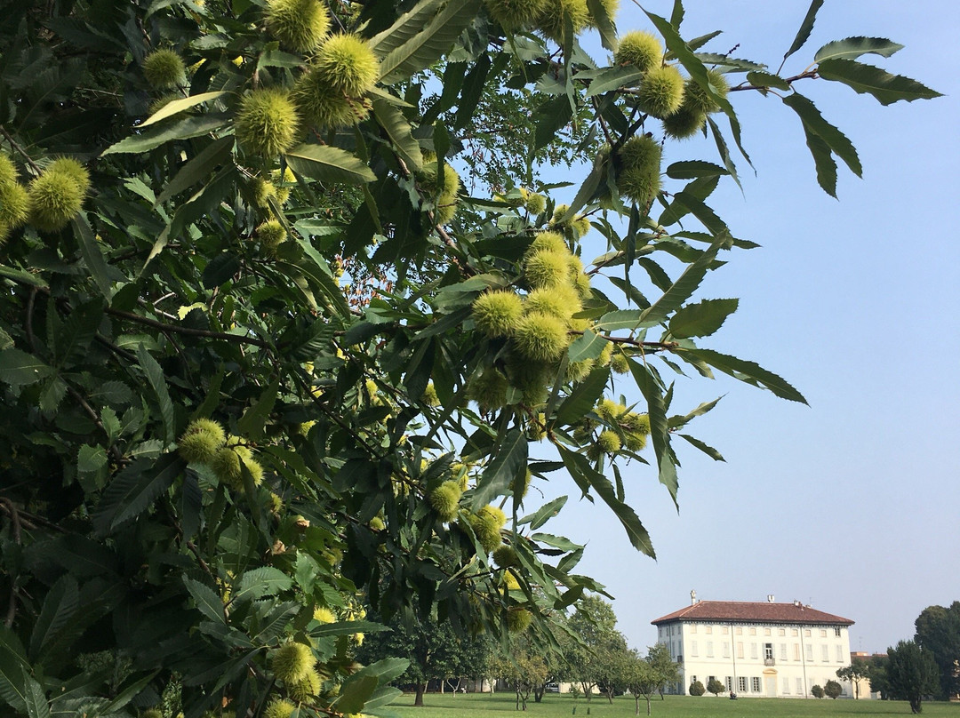 Parco della Magana景点图片