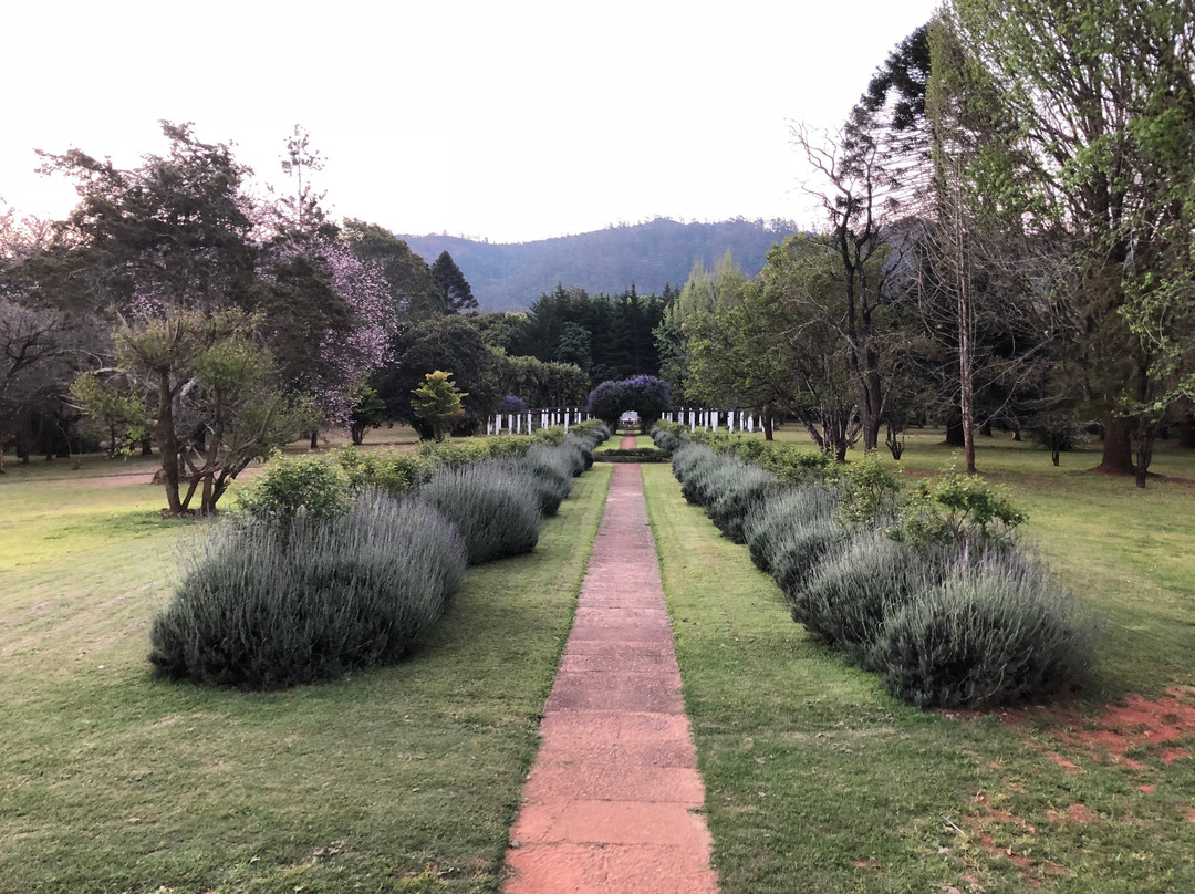 La Rochelle Country House And Spa Mutare主图