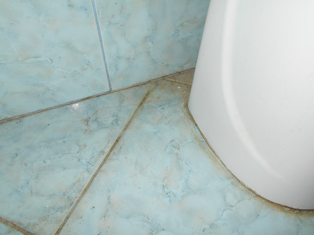 Hotel Holiday-M主图