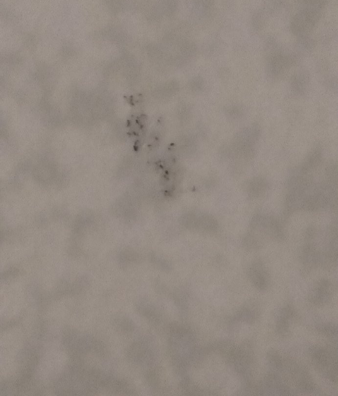 City Express By Marriott Saltillo Sur主图