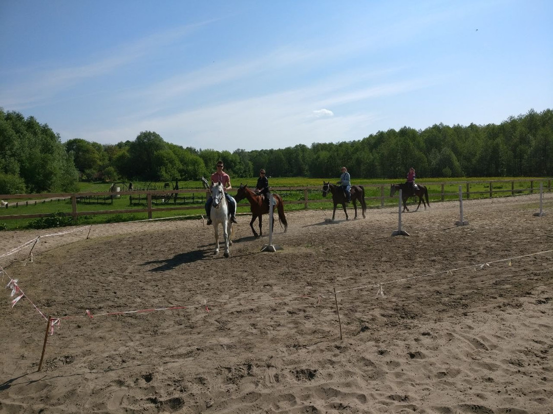 Horseback Yard Sednevskiy-Sedniv必去景点