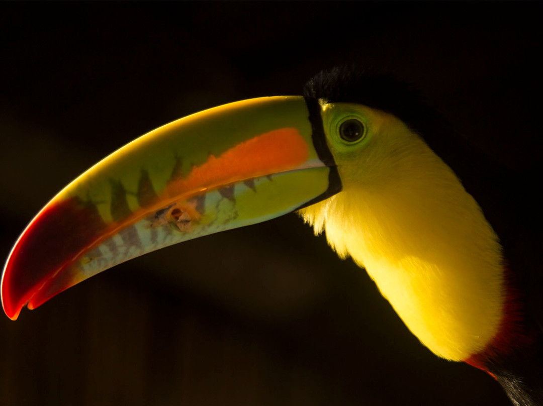 El Paraiso de Tuki B&B-Minca必去景点