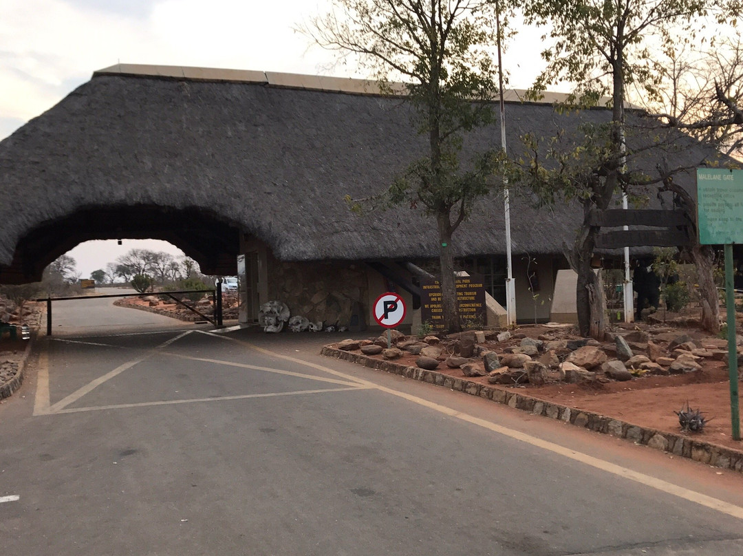 Malelane Gate, Kruger National Park景点图片