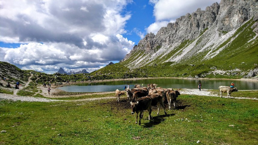 Passo Del Mulo Dai Laghi D'Olbe景点图片