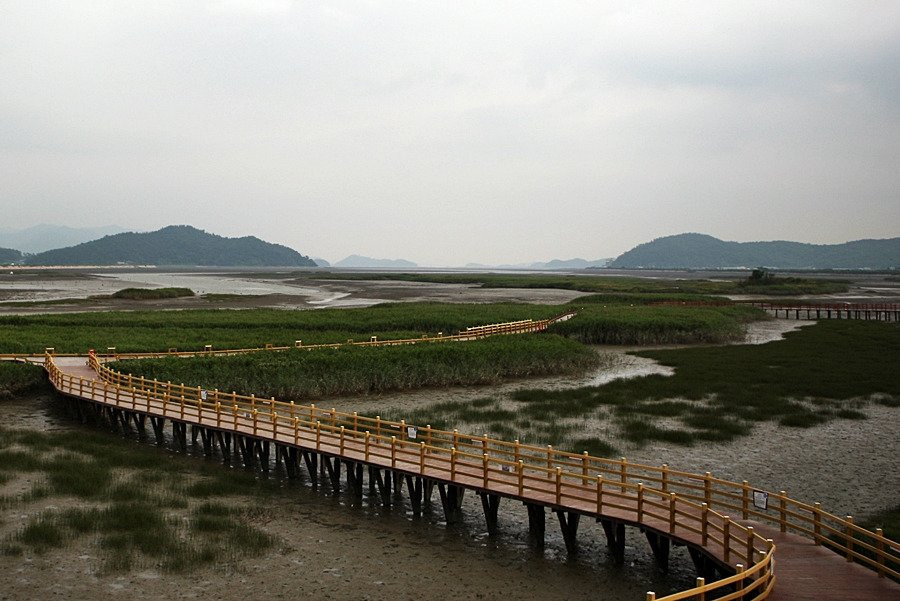 Gangjinbay Ecological Park景点图片