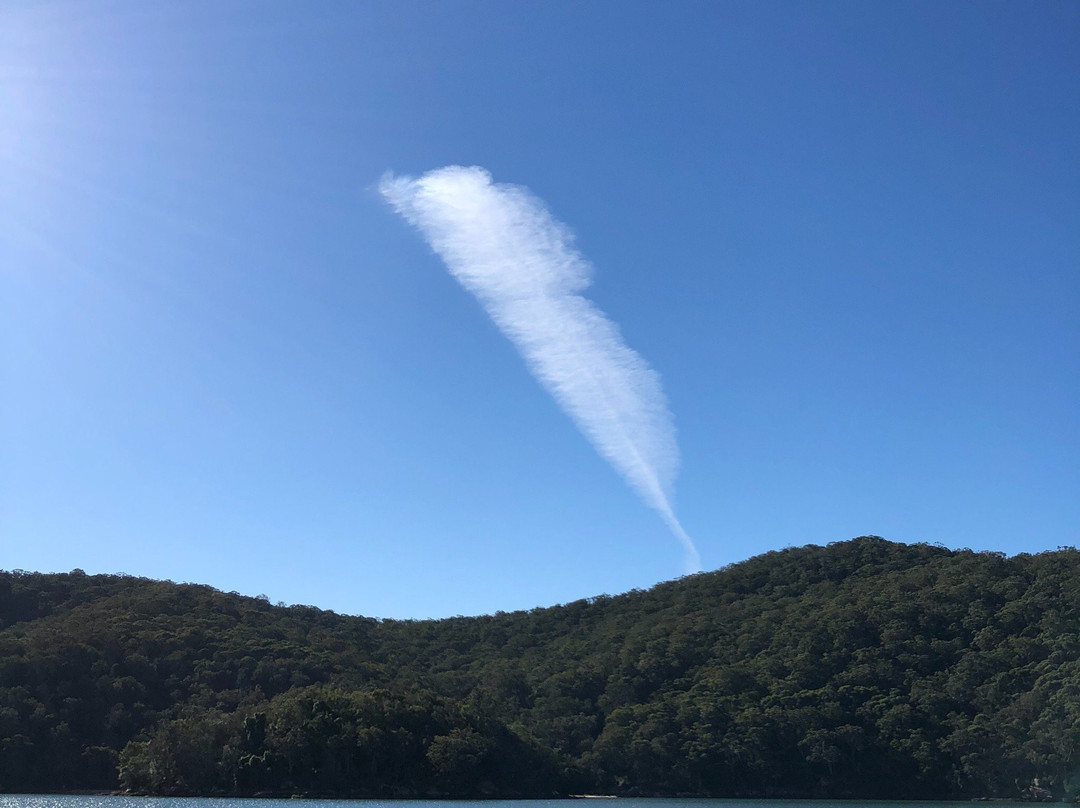 Palm Beach & Hawkesbury River Cruises景点图片