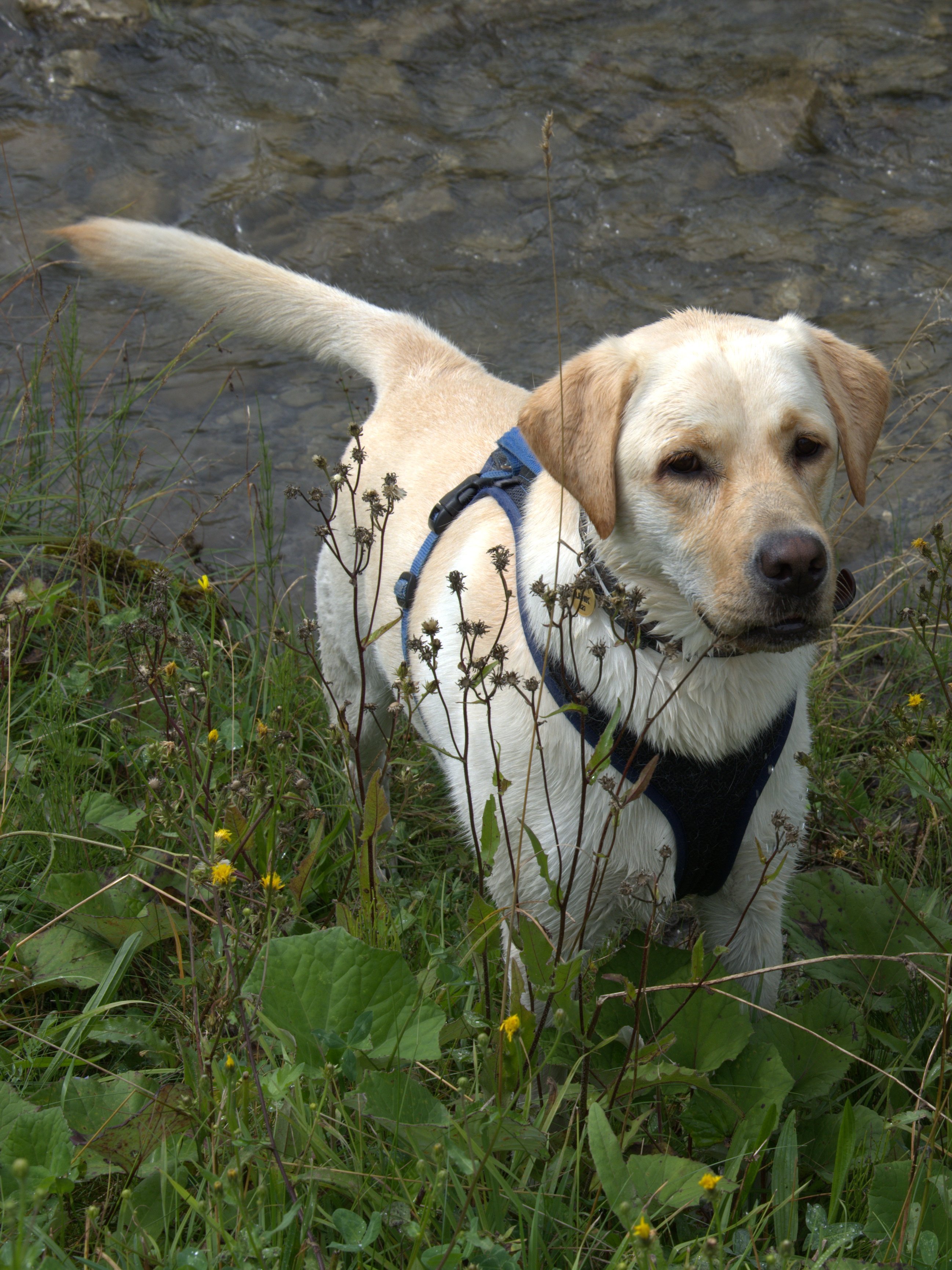 Hotel Garni Alpenruh-家庭/游戏区
