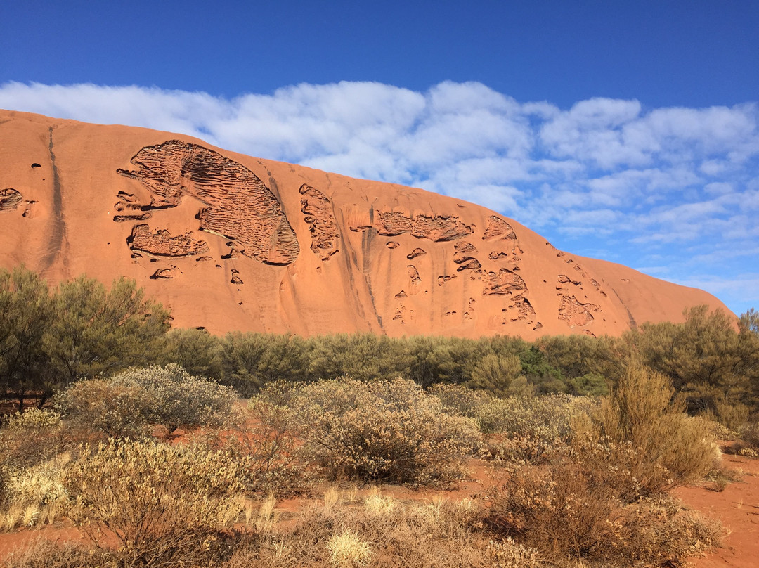 Uluru Segway Tours景点图片
