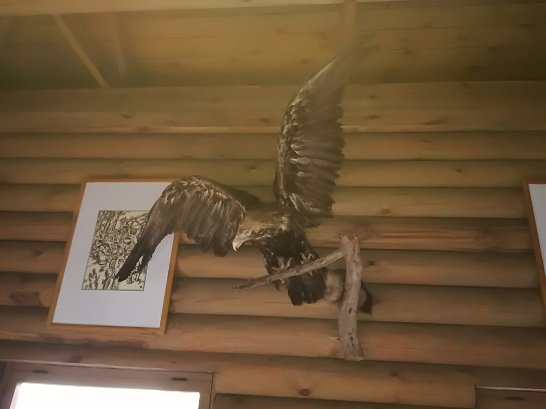 Zamkovaya Mountain-Mazyr必去景点