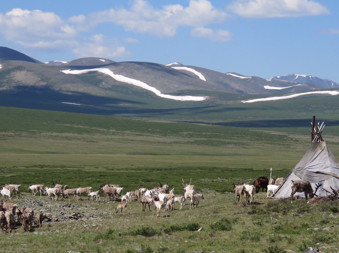 Ecovoyage Mongolie