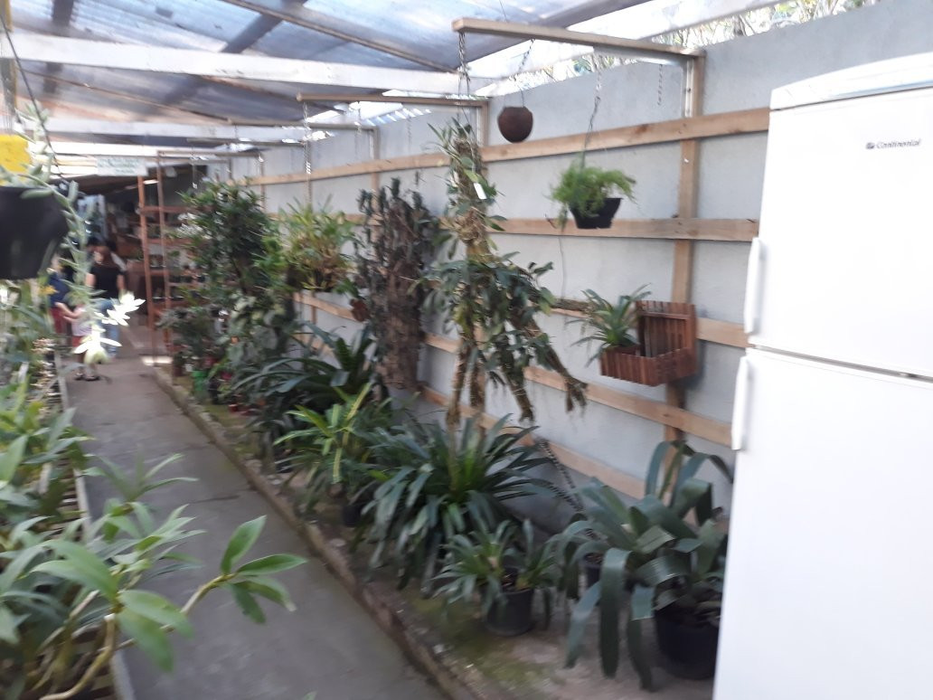 Orquidario Nego Plantas景点图片