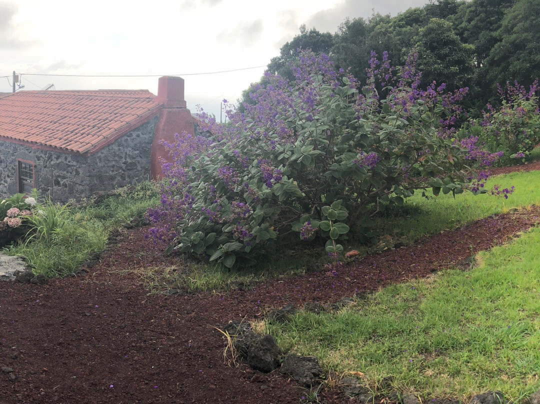 Quinta da Faia